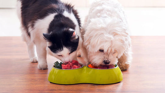 How to Elevate Mealtime