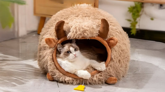 Pets Love a Cozy Cave